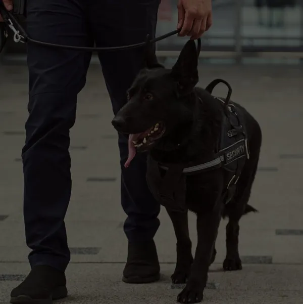 BEONTIME agence de sécurité privée agent de sécurité à Paris et partout en France gardiennage protection rapprochée garde du corps